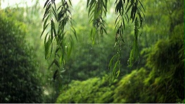 梅雨期间应注意什么？