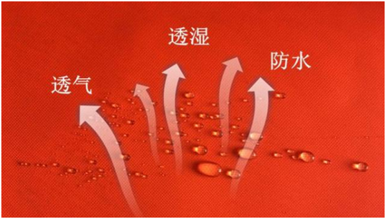 微信图片_20200310170322